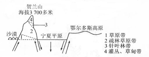 每日一题|地质剖面与自然带_贺兰山