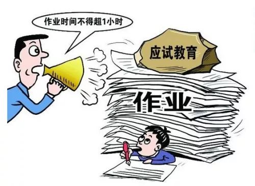 确保贫困人口义务教育着力补齐什么短板(3)