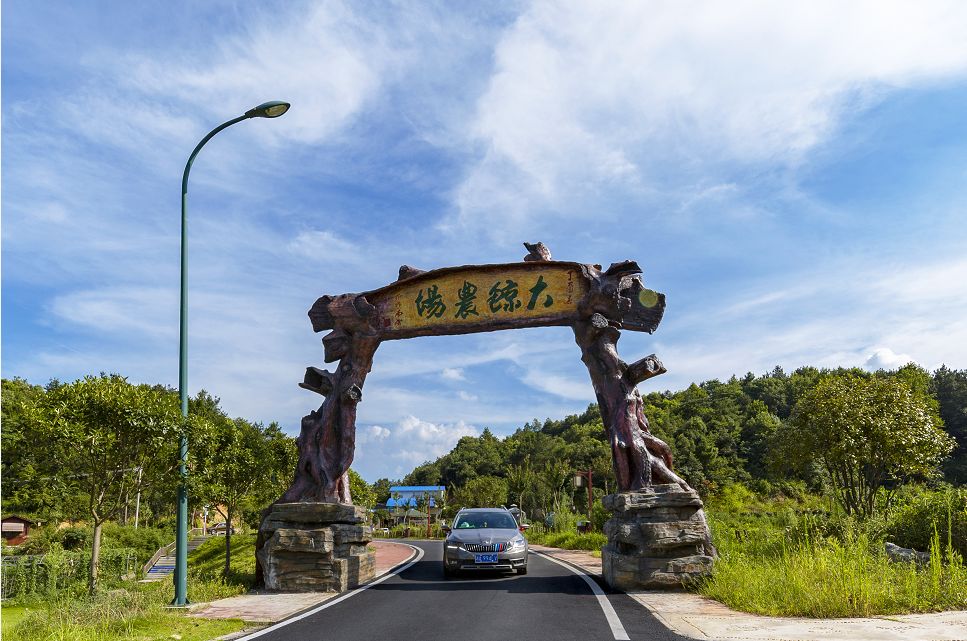 让人忘记时间的流逝城市的霓虹与喧嚣抛诸脑后遇到大鲸农场爱上一座城