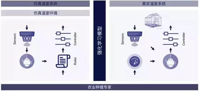 鵝廠養鵝是開玩笑，但用AI種黃瓜是認真的 科技 第9張