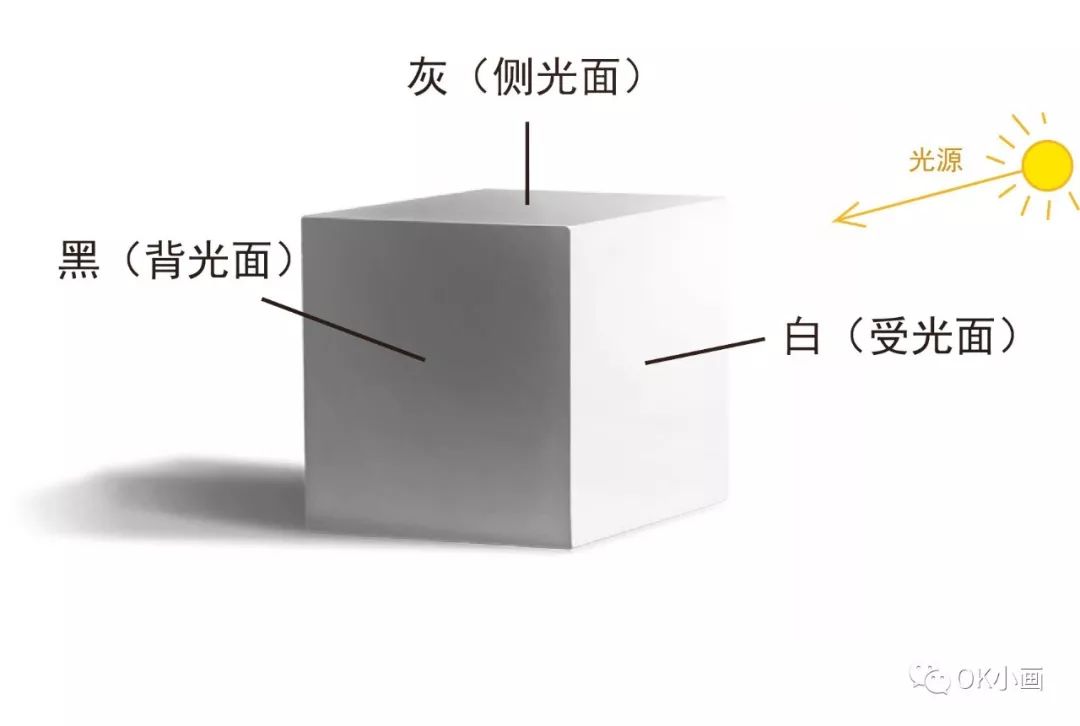 知识贴三大面五大调子是个球