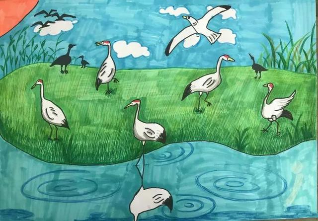 云龙镇中心小学新时代文明实践活动我把湿地画进明信片绘画活动