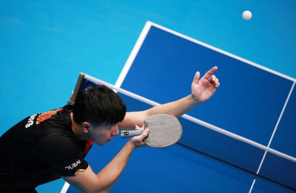 世界乒乓排名_日本乒乓底板銷量排名