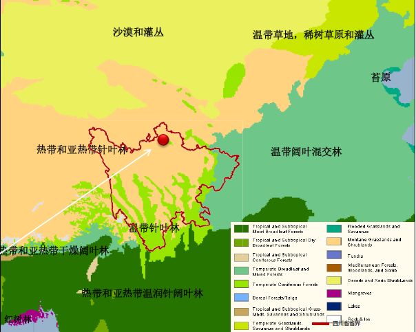 区域植被以亚热带针叶林为主