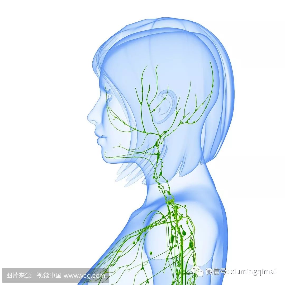 这三处的淋巴决定了你99的疾病