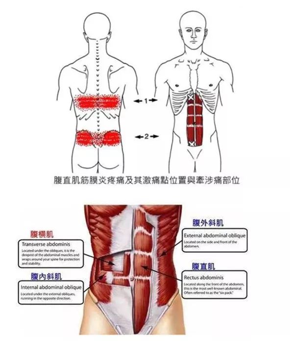 涨知识 | 小微针敢战"老顽固"_腹肌