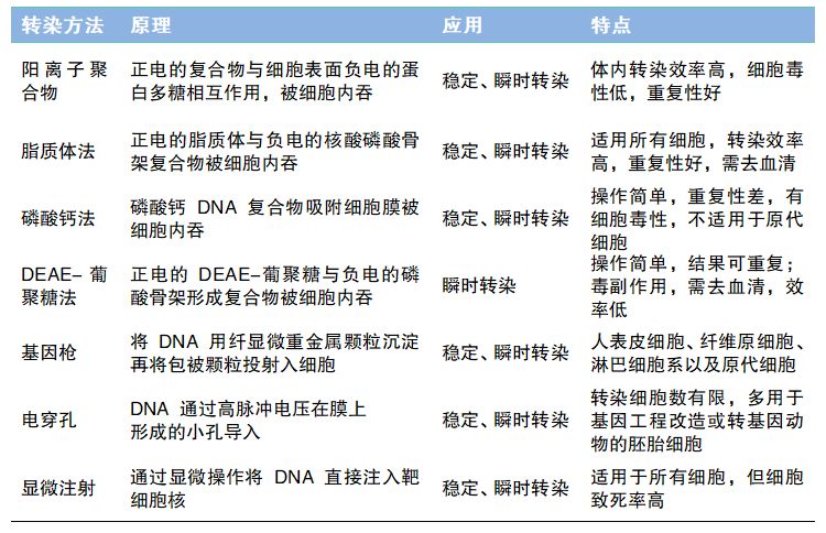 质粒转染的原理和步骤_细胞转染的原理 操作步骤以及小技巧 第二讲(2)