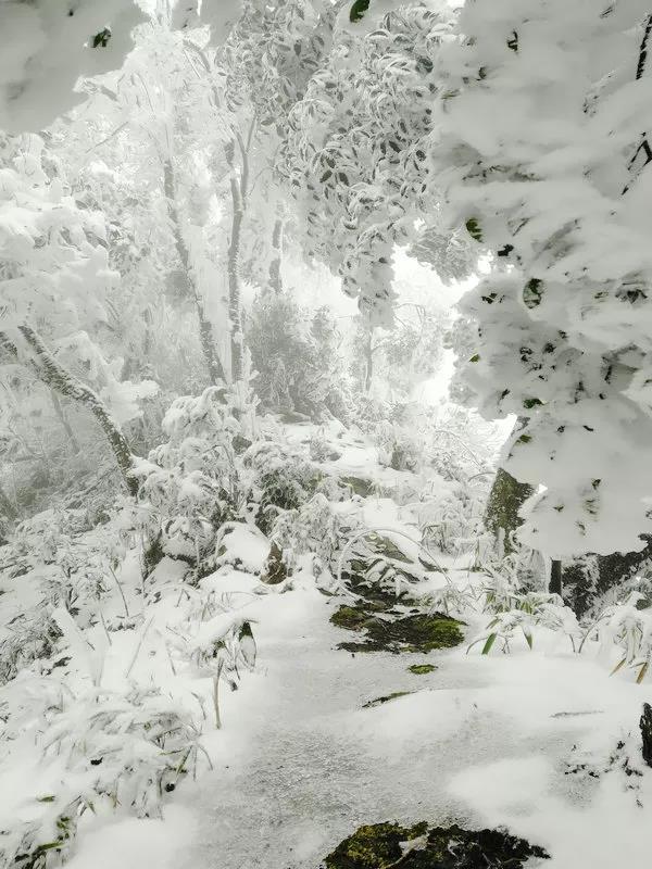 刚刚拍的,泸州古蔺这里的雪景美爆了!