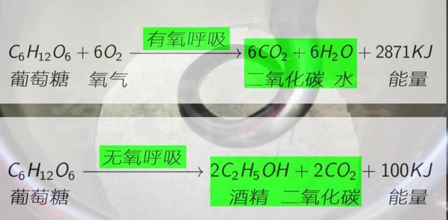 发酵不起来的面团怎么办