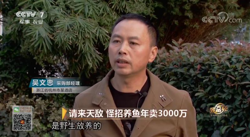 致富经养鱼一年多赚1000万_致富经养鱼视频大全集_养鱼致富经