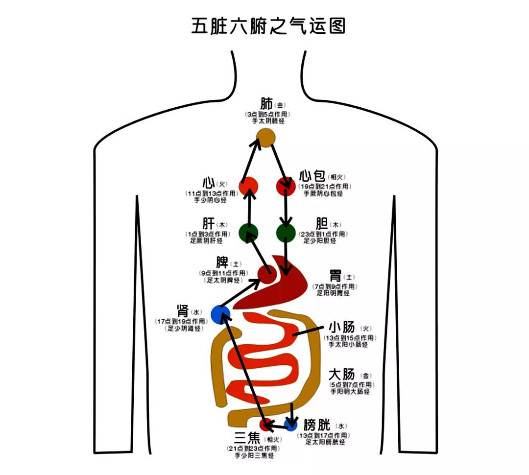 肾脏喜暖