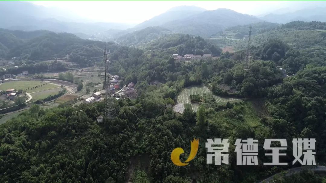 兴业县山心镇良星村人口_兴业县山心镇龙江村(3)