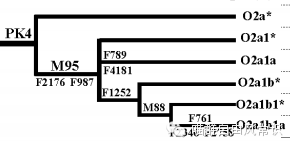 华南少数民族人口_华南师范大学(3)