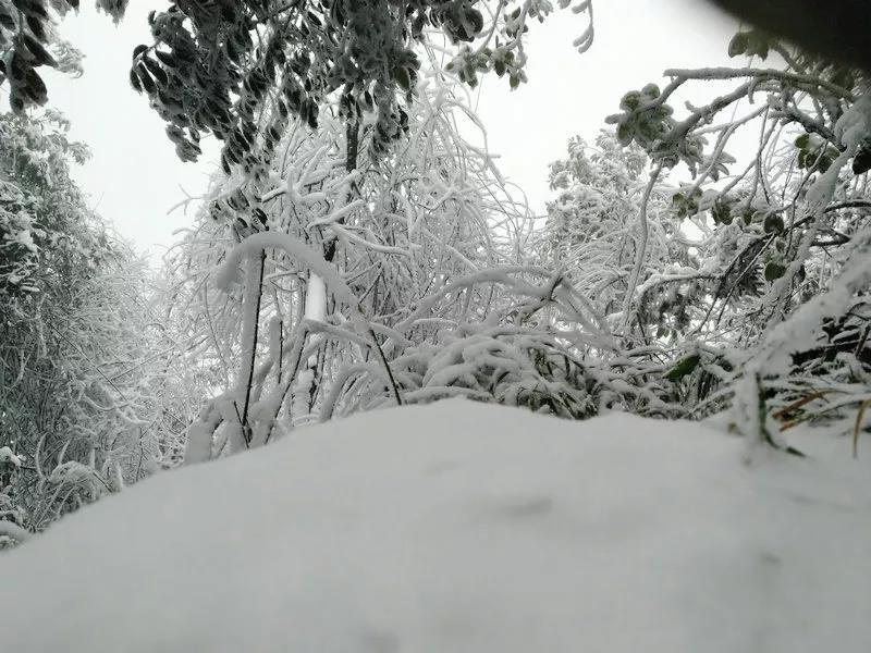 刚刚拍的,泸州古蔺这里的雪景美爆了!