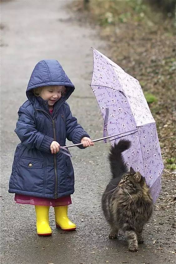 雨中伞怎么写