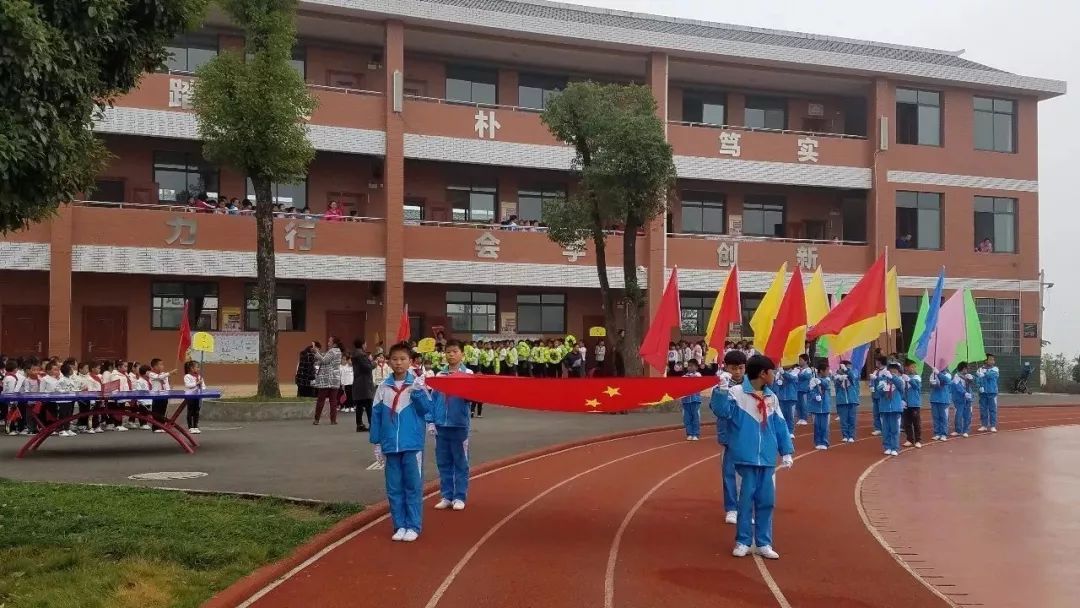 2019张家界中心城区学区划分敲定看看你家孩子在哪上学