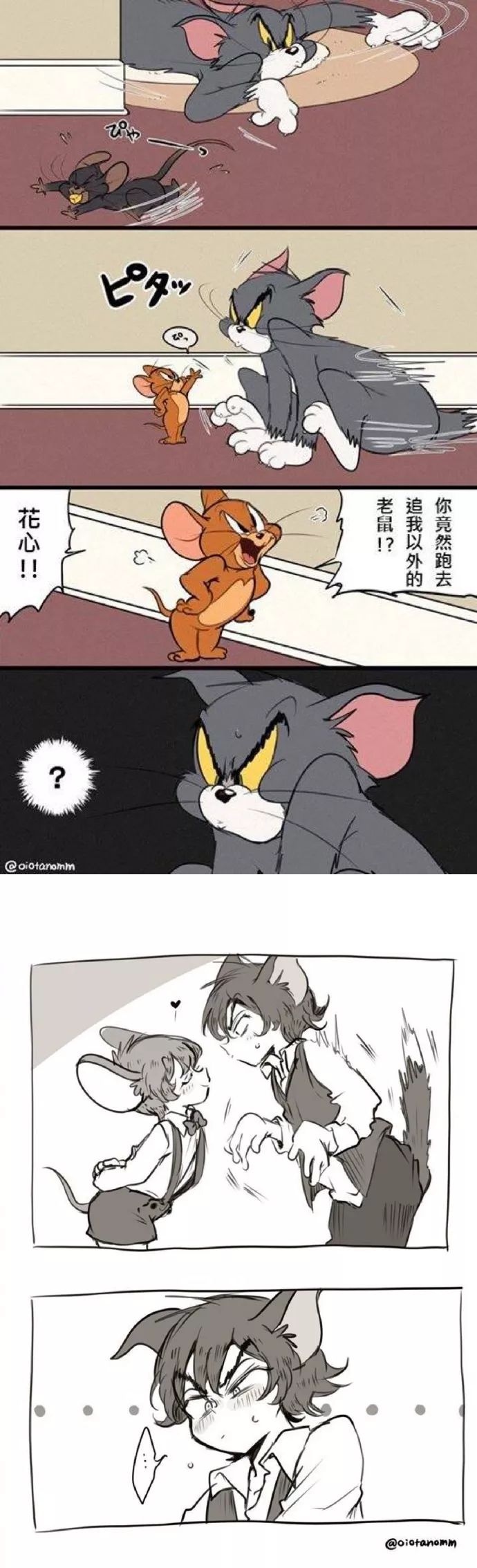 搞笑漫画 | 猫和老鼠