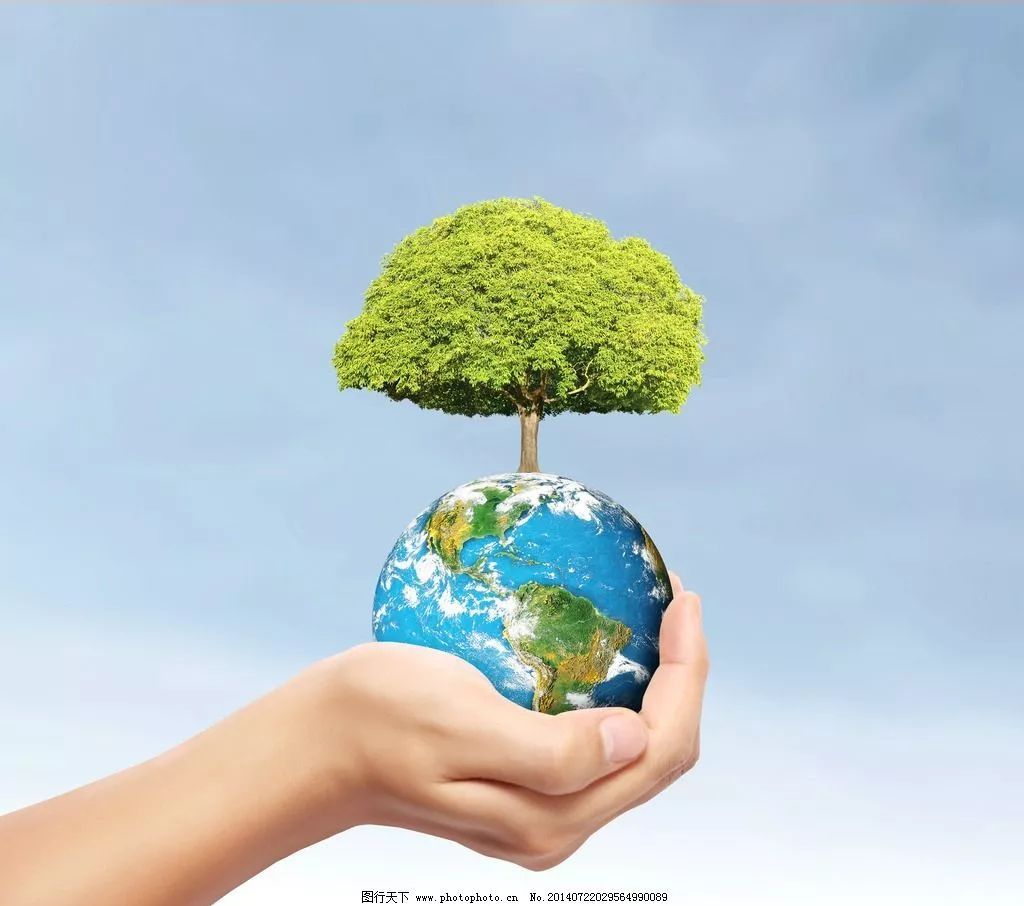 对比效果的绿色环保海报|平面|海报|如初之光 - 原创作品 - 站酷 (ZCOOL)