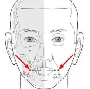【每日一穴】地仓穴: 舒筋活络,活血化瘀