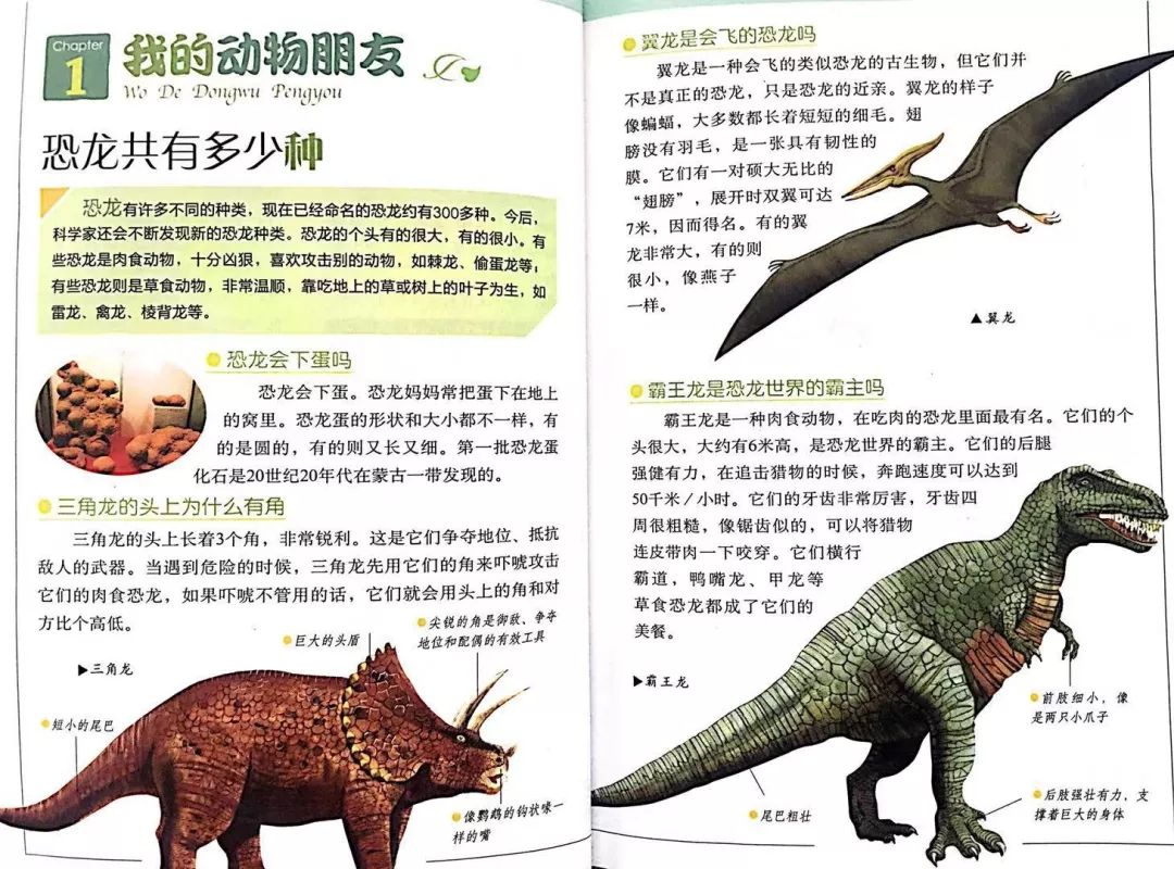 你知道恐龙有多少种吗?| 自然的奥秘