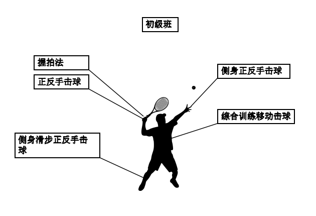 初级班:握拍法;网球基本挥拍动作;正反手击球;侧身正反手击球;侧滑步