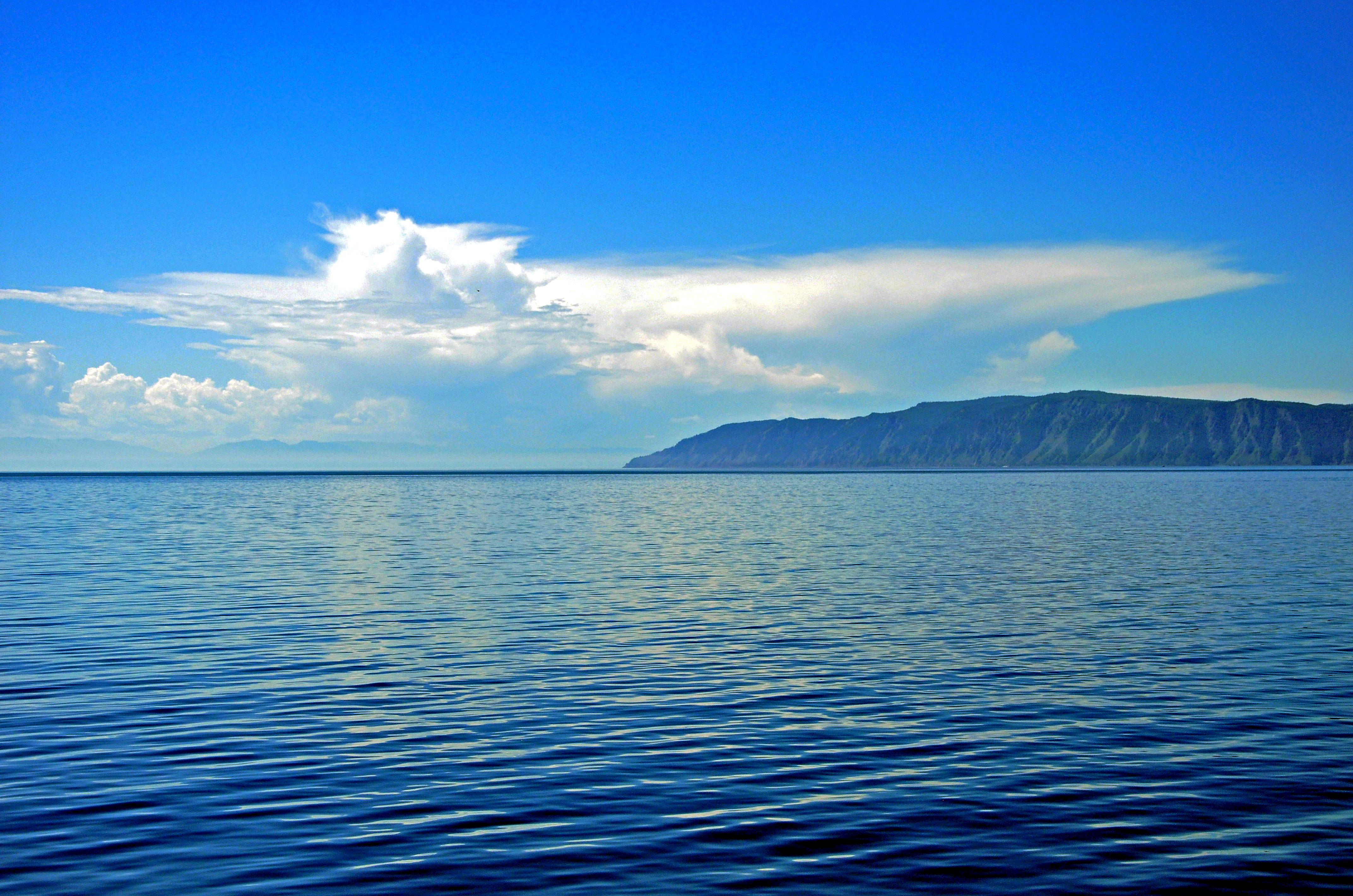 贝加尔湖以其特有的海洋性生物而独步天下.