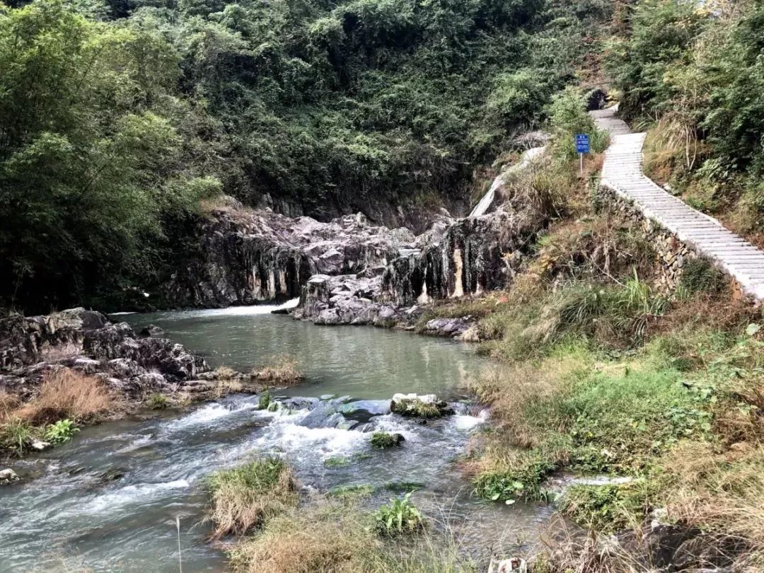 看溪流穿村而过看漫山落叶缤纷平阳腾蛟这个村现在很美