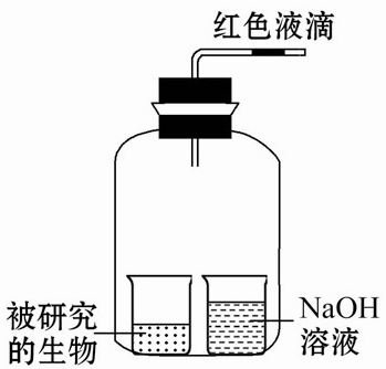 EL光触氧保鲜是什么原理_幸福是什么图片