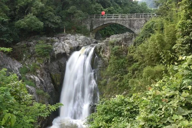 看溪流穿村而过看漫山落叶缤纷平阳腾蛟这个村现在很美