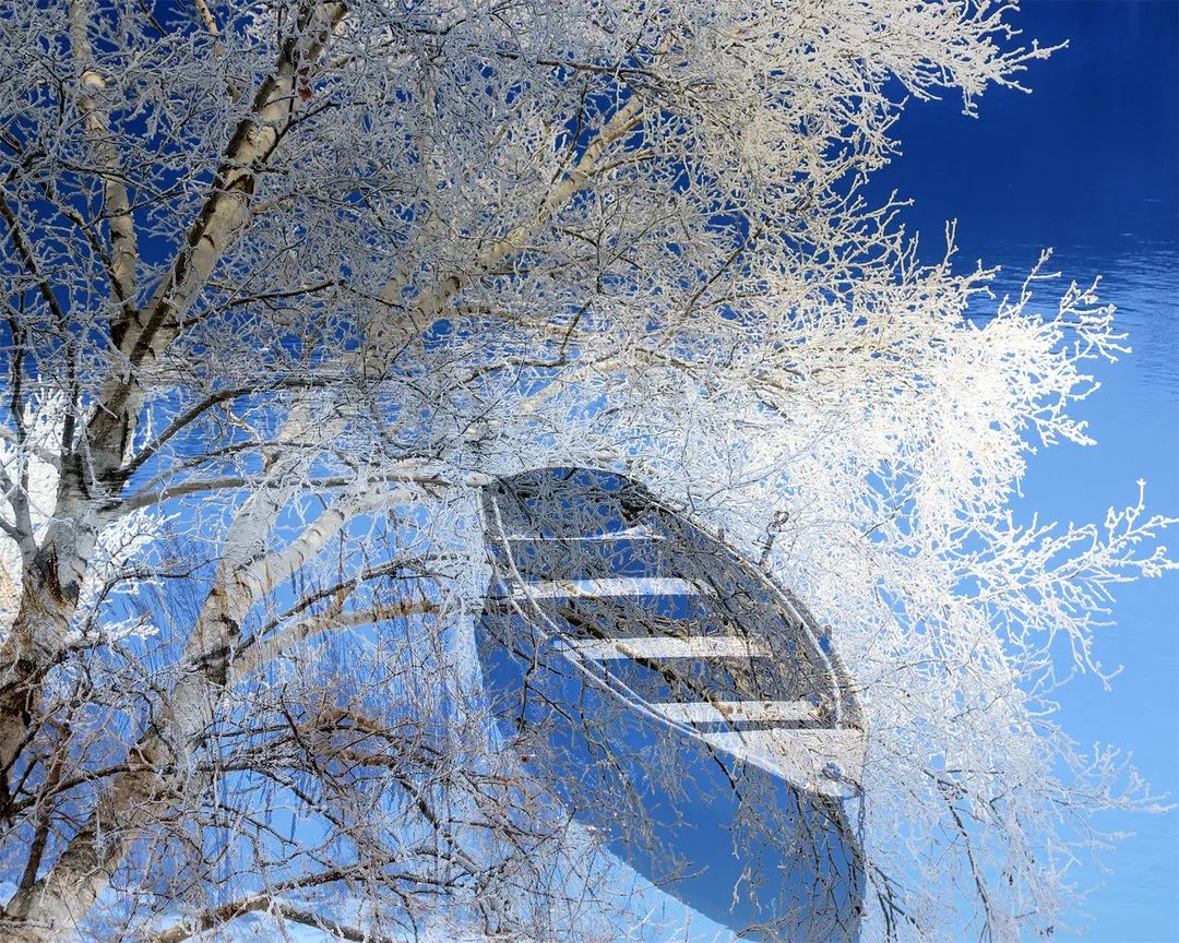 摄影 李景田风卷寒云暮雪晴江烟洗尽柳条轻△图片 金山银山松雪