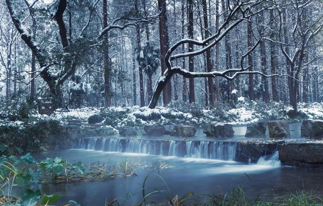 △12月9日,浙江省杭州市西湖风景区内的梦幻雪景.图丨视觉中国