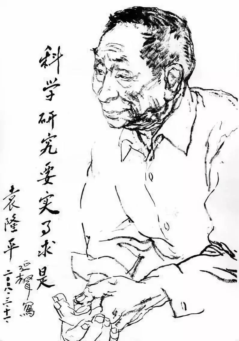 袁隆平 他是工程院院士,水稻之父.