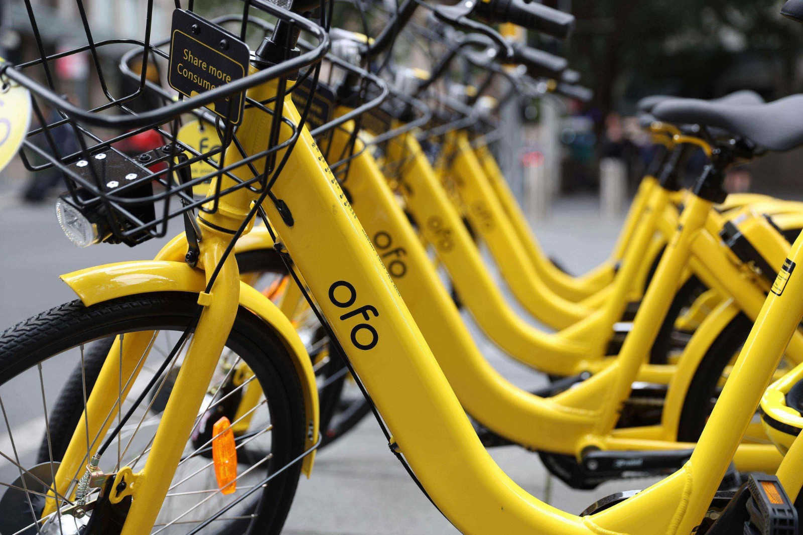 ofo's