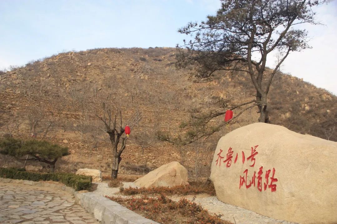 【交流学习】东营市第62期县处级领导干部进修班到长清区万德街道参观