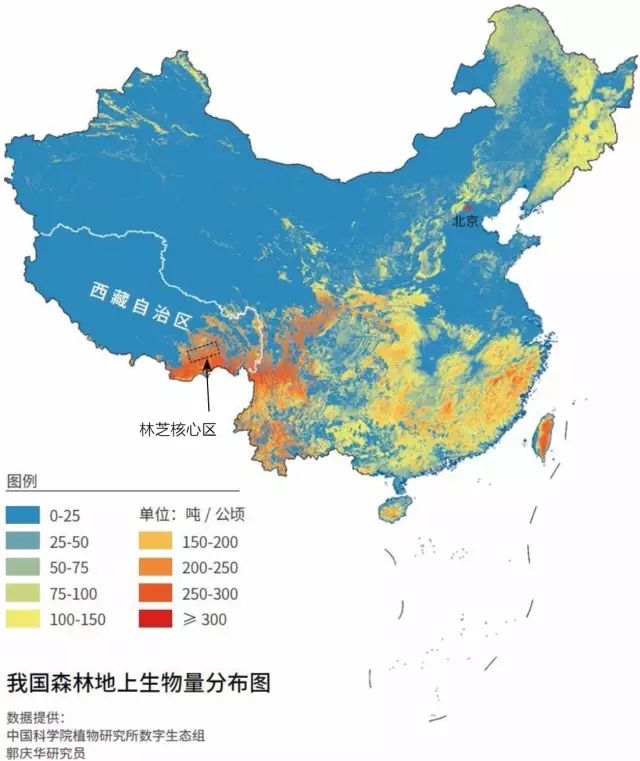 生物层层叠叠竞相生长,产量惊人 下面这张中国森林地上生物量分布图显