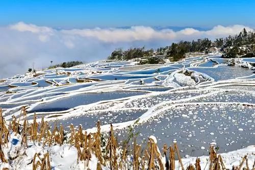 谁说红河不下雪?这些绝美赏雪旅行地,惊艳整个冬天