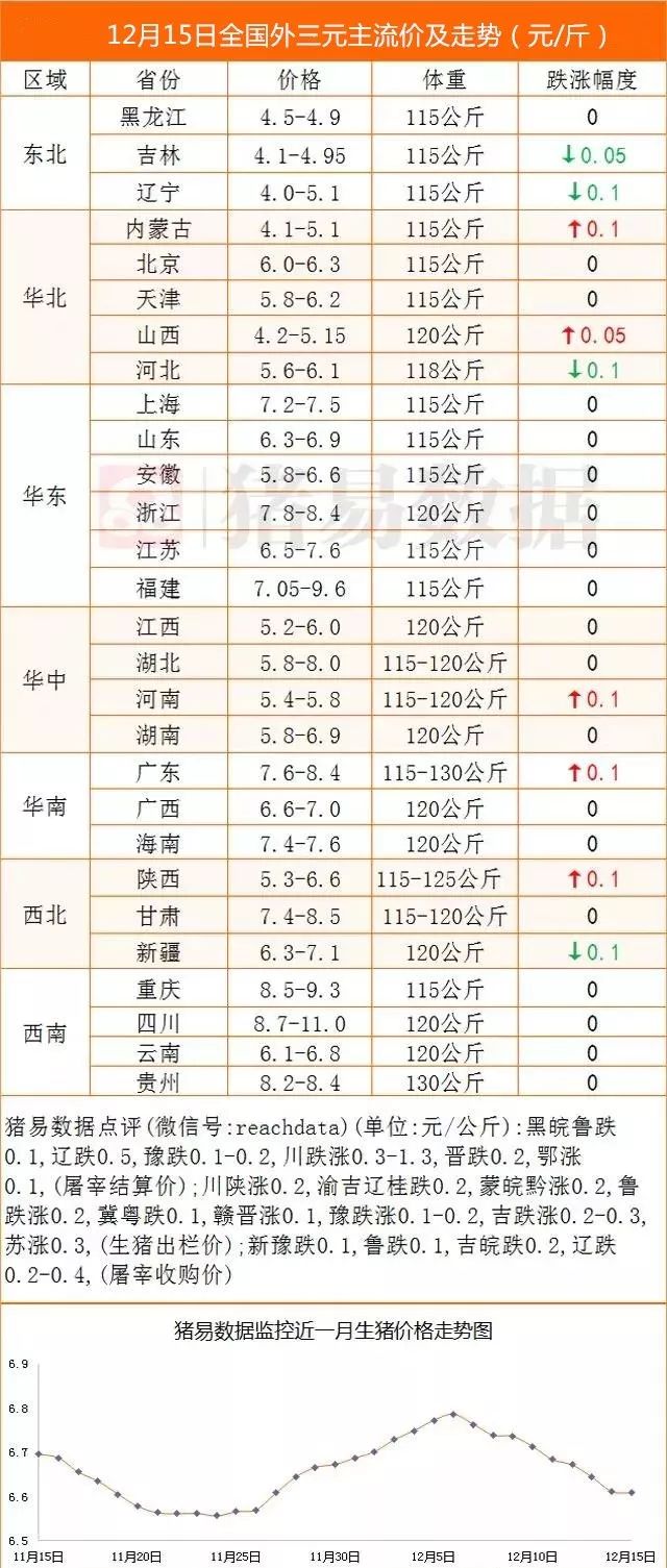 主流人口比例国家才能稳定_人口比例图(3)