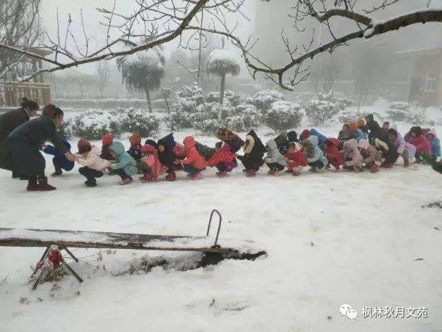 清平乐61玩雪弥天大雪,满眼皆白色.地面封严蒿草没,凉爽清新广阔.