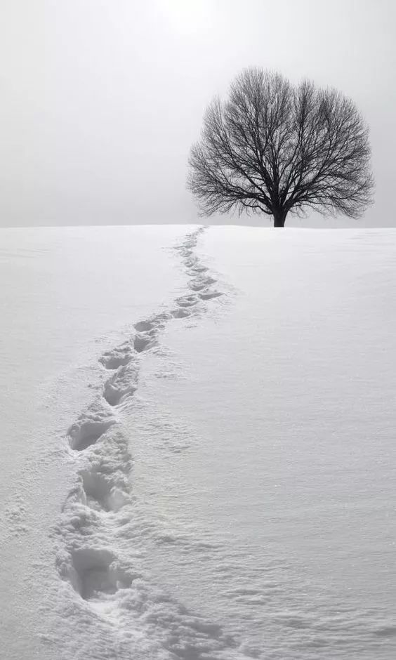 下雪天这么拍,绝对惊艳朋友圈!