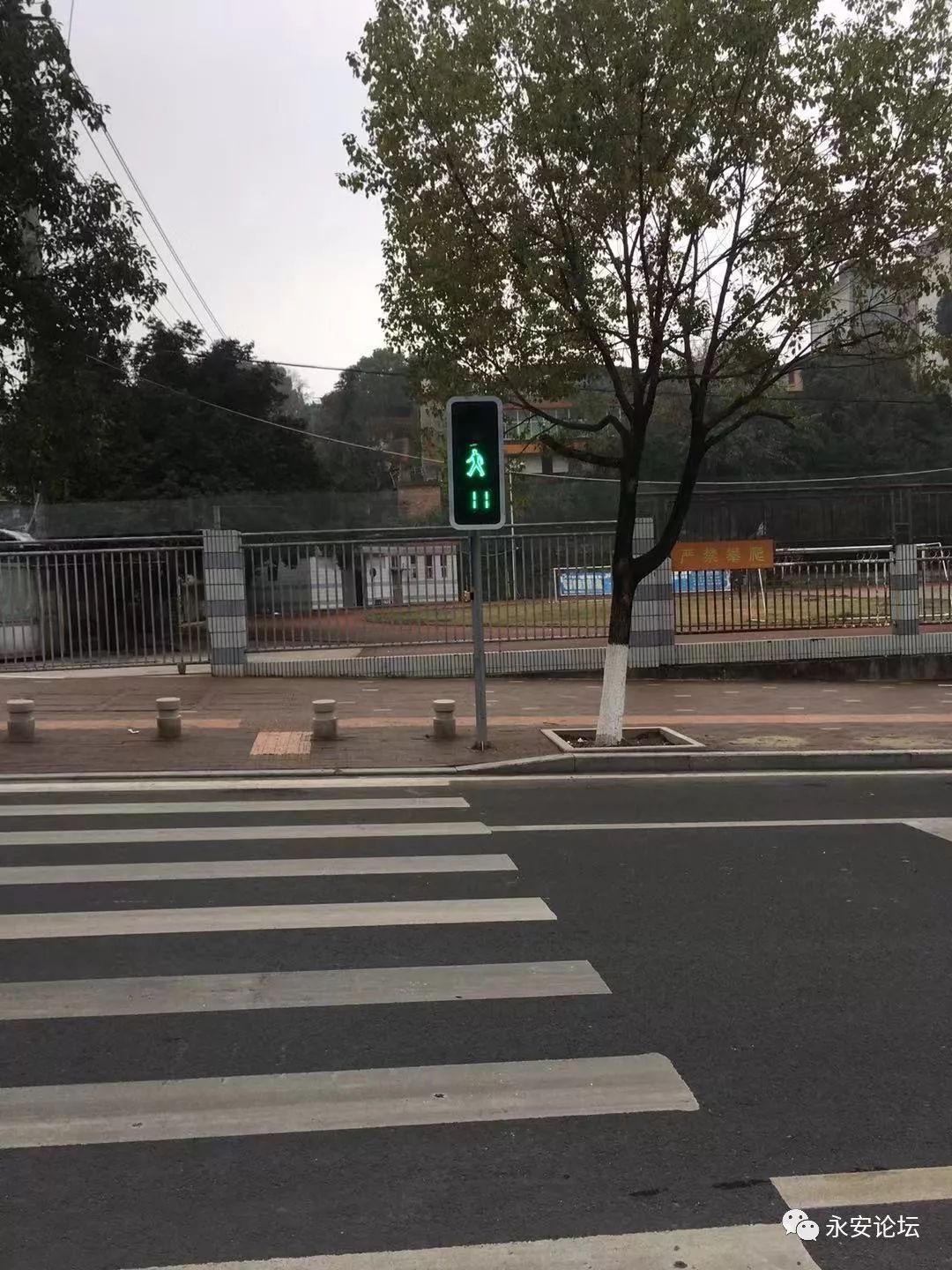 永安第一个红绿灯行人自助过街人行道启用