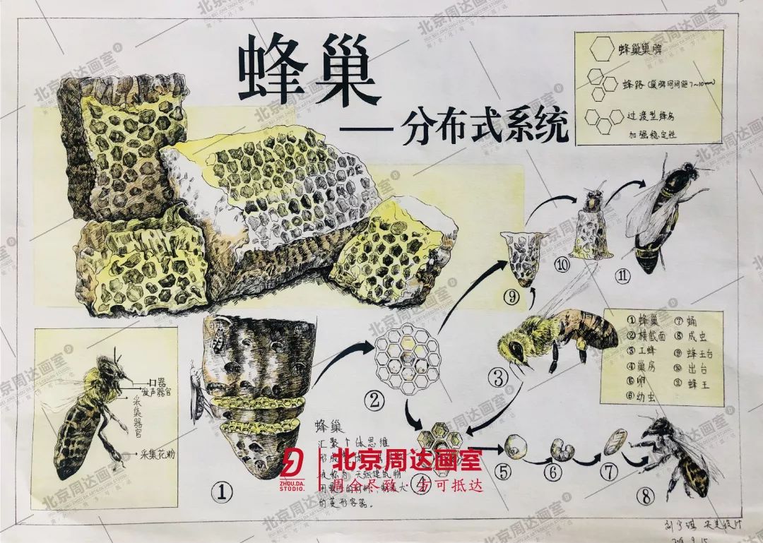 周达央美设计班线上作品展