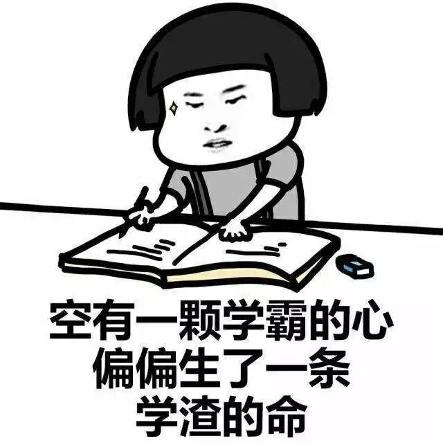 在这里,小编预祝大家:考的全会蒙的全对超常发挥门门高分学霸附体过关