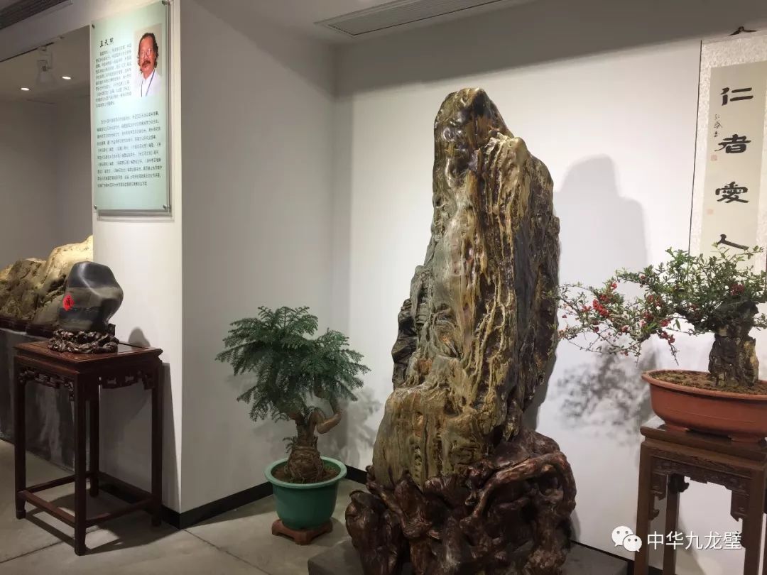 【九龙璧玉】非物质文化展示厅——九龙璧(华安玉)赏石艺术(一)