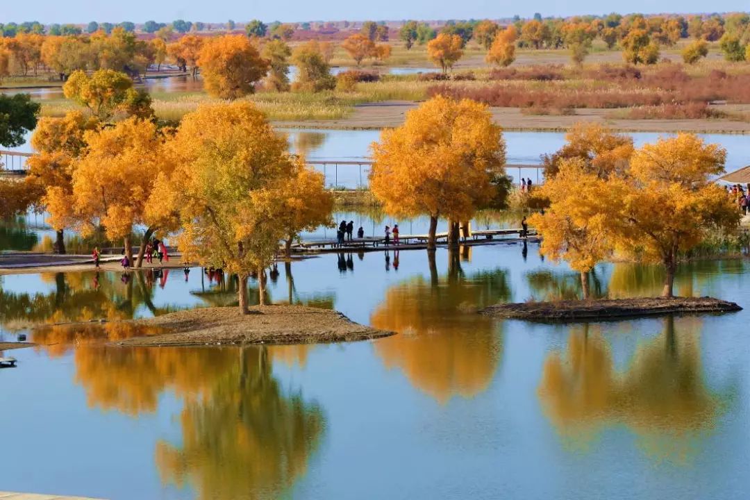 尉犁县人口_尉犁县地图全图