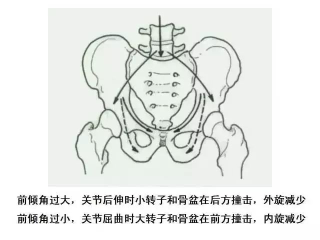 版权声明: 本平台旨在传播医文化知识, 版权归相关权利人所有,尊重