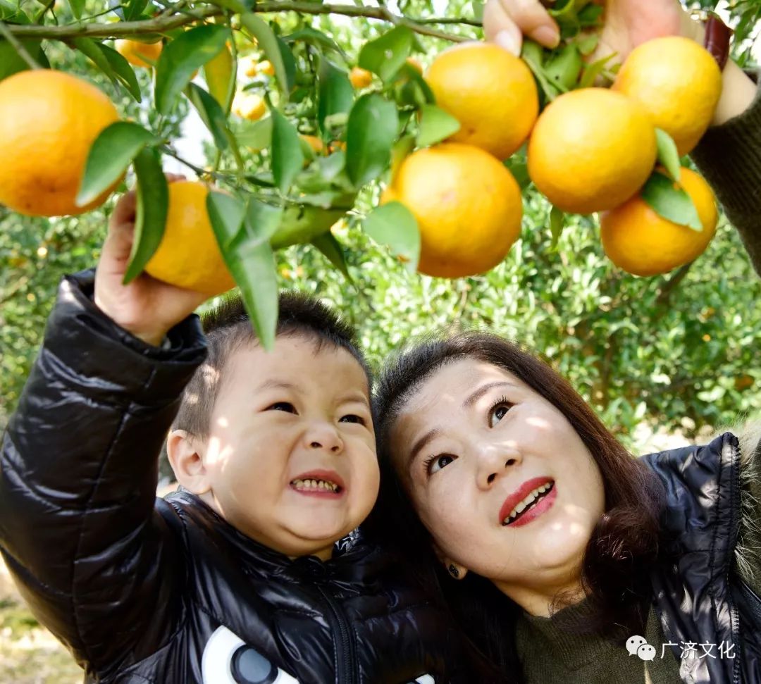 这里的农民感到最感激的还是老村支部书记王水桃,他在魏高邑村书记的