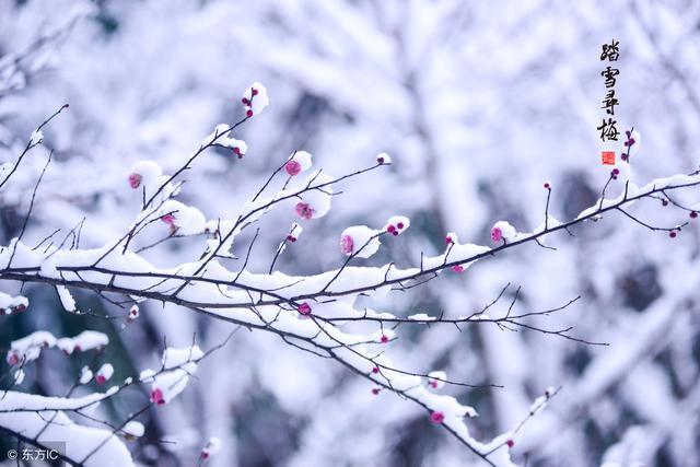 2019教师资格证面试:资格认定流常见问题_教