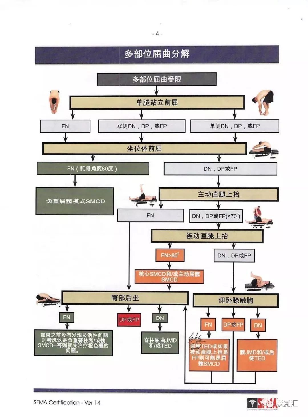 动作筛查评估sfma评估流程图