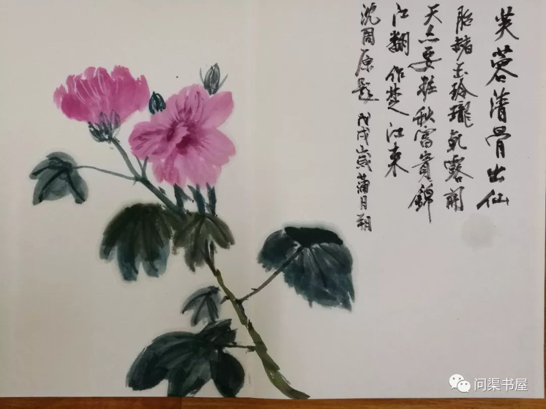 什么花什么舞成语_草什么花什么成语(2)