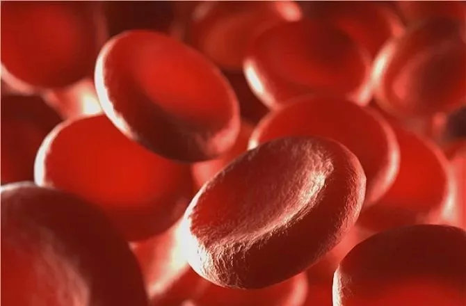 如果缺铁,可能 导致血红蛋白不足,这就是我们常说的缺铁性贫血.